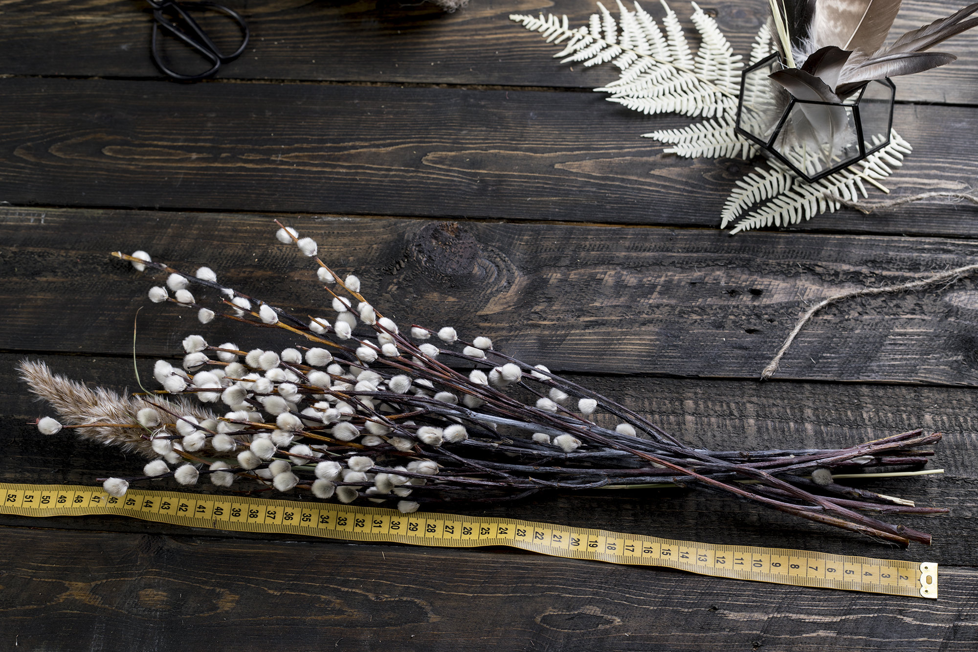 Dried Pussywillow Branches Bouquet Pussy Willow Catkins Branch Rustic