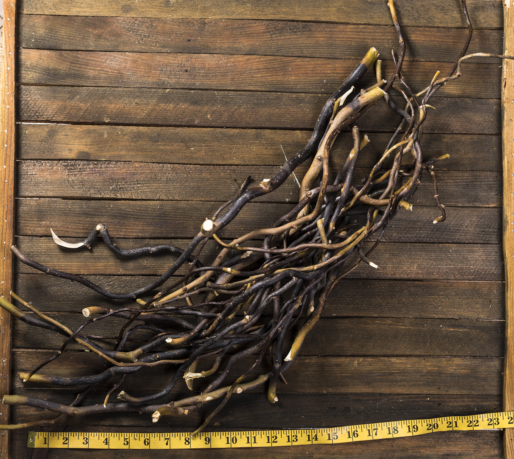 Corkscrew Curly Willow Dried branches Country wedding farmhouse arch Wreath  bouquet Rustic home decor woodland flower arrangement – 7LeafShop Wedding  Bouquets