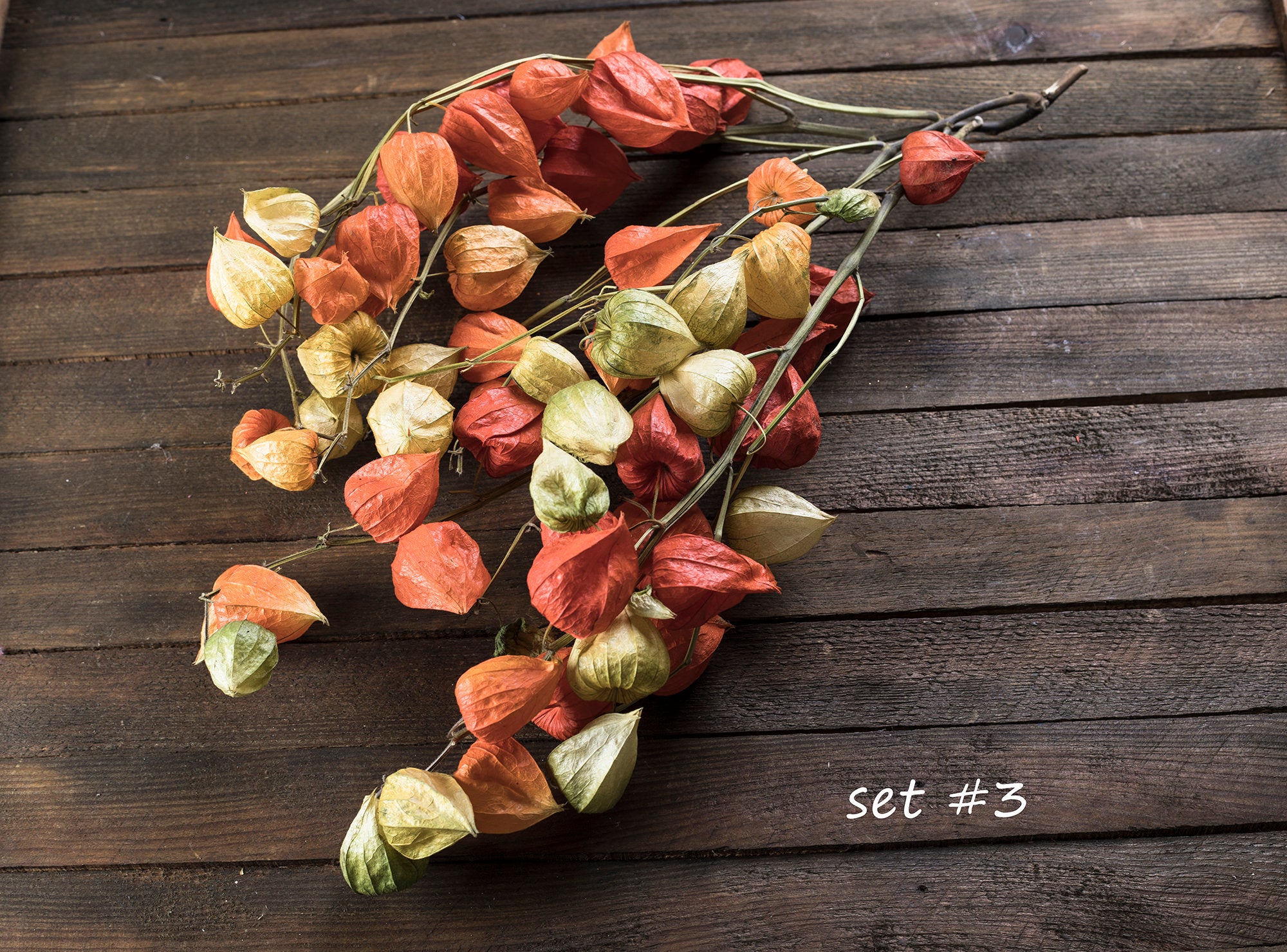 Dried flowers physalis boquet branches Burnt orange Woodland rustic orange natural dried flower