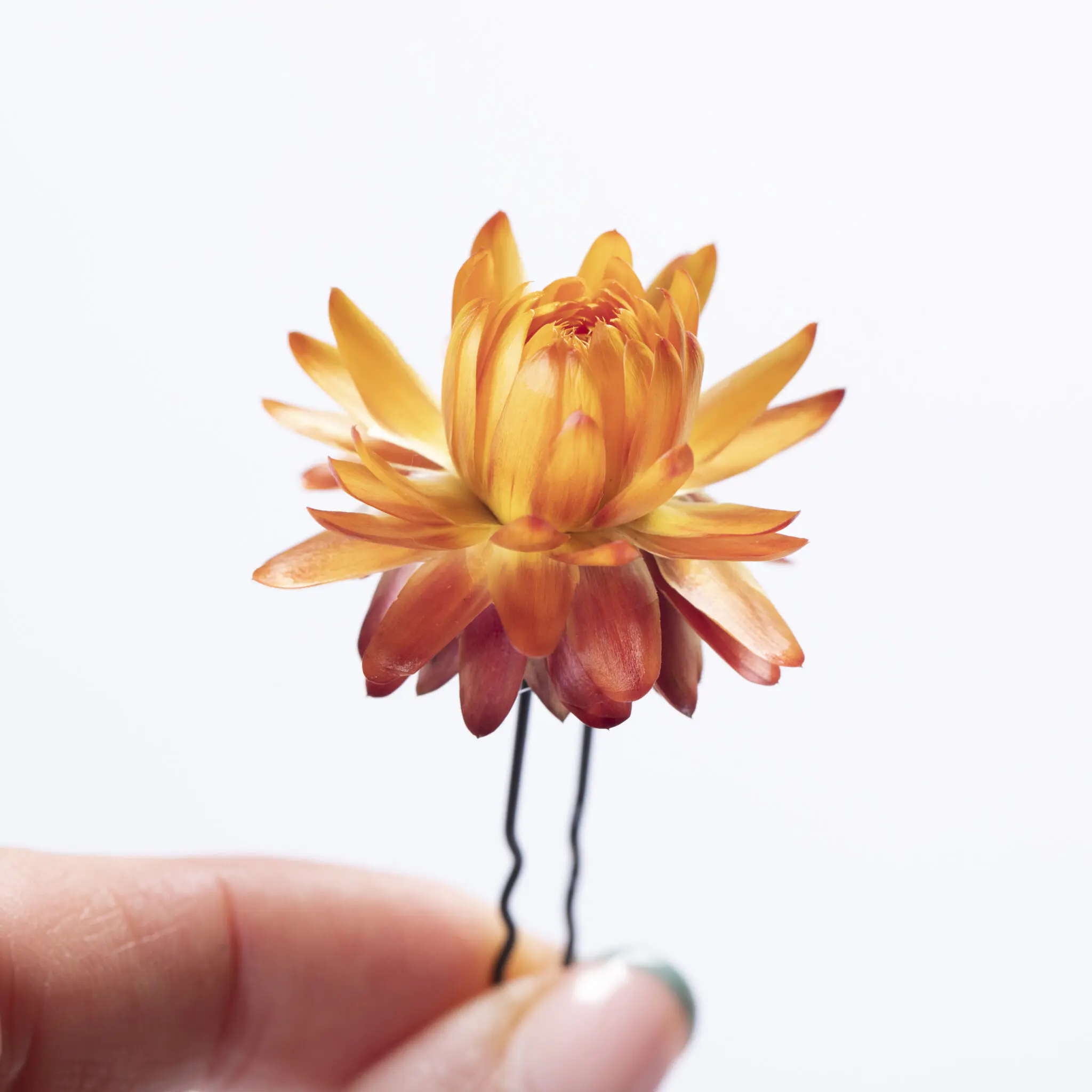 Hair Pin - Orange Burgundy (type1)